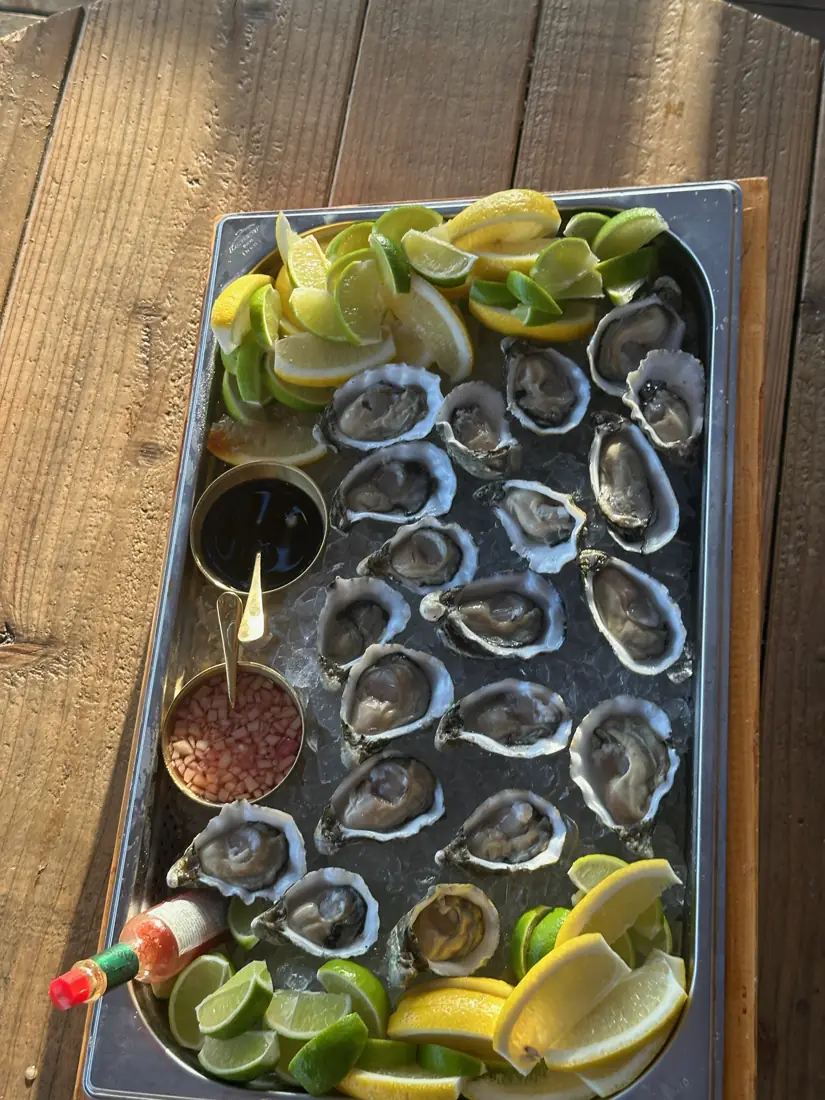 Bandeja de ostras sobre gelo com molhos num evento