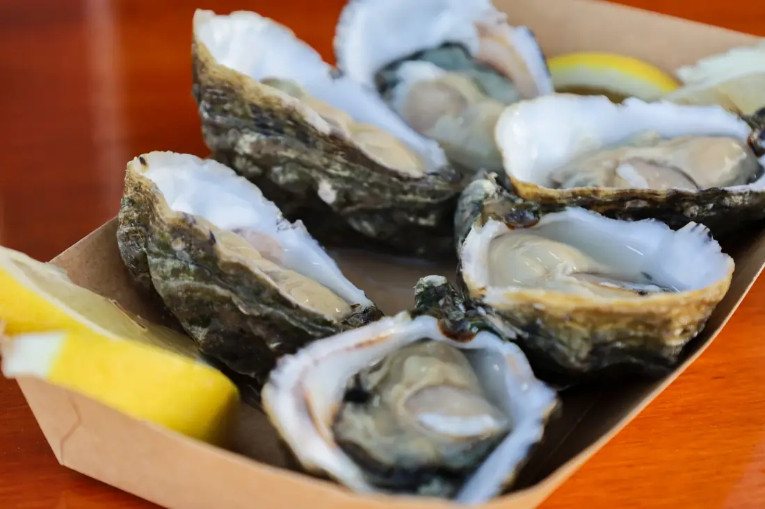 Ostras frescas da Ria Formosa abertas, com limão